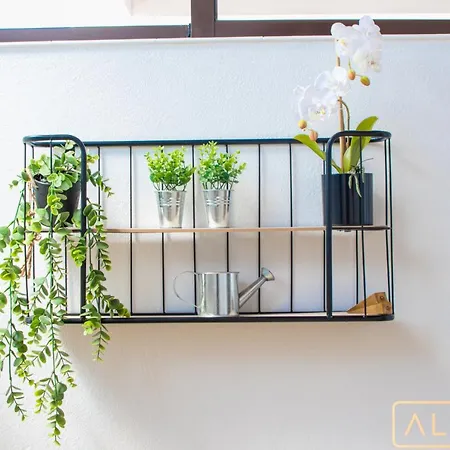 Orcades Close To Town Center Pool & A/c וילה פלאיה בלנקה